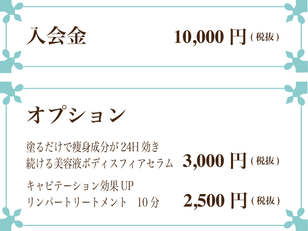 ”入会金・オプション"